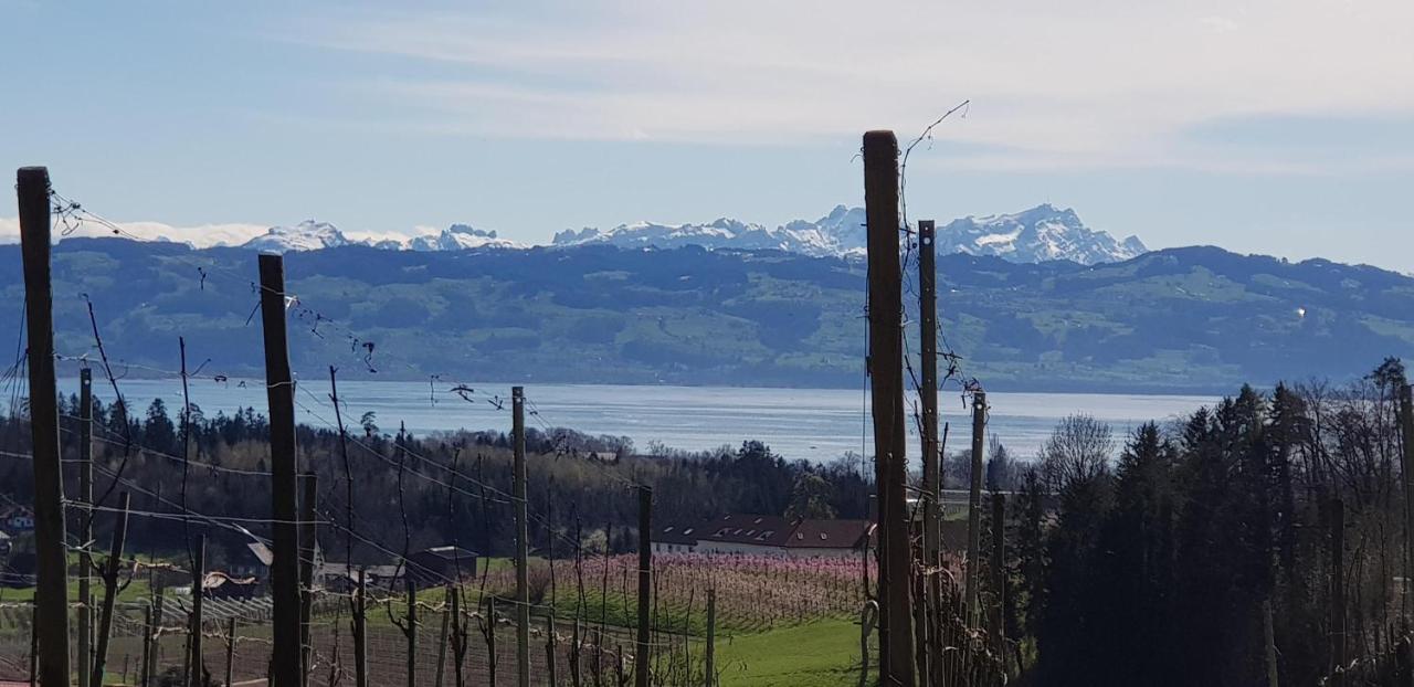 Alpenblick 3 Lejlighed Bodolz Eksteriør billede
